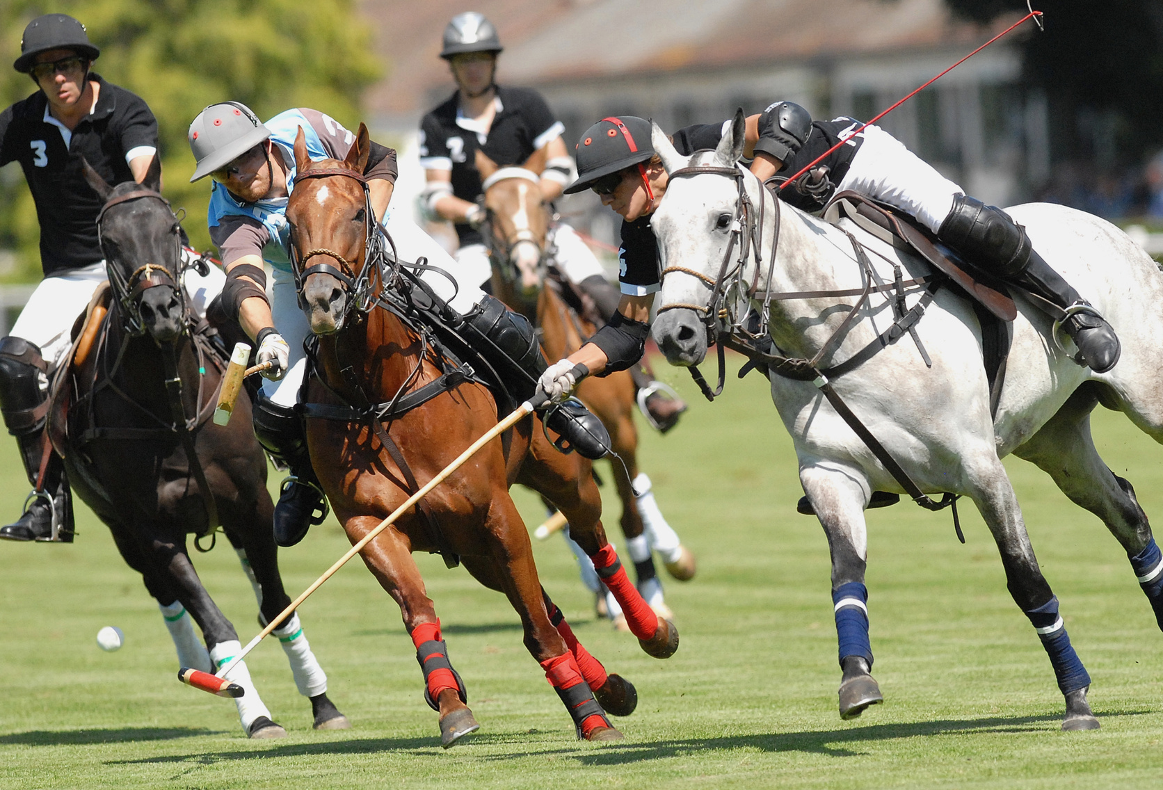 Поло спорт. Поло Polo Sport. Поло скачки. Поло спорт королей. Поло на конях в Англии.